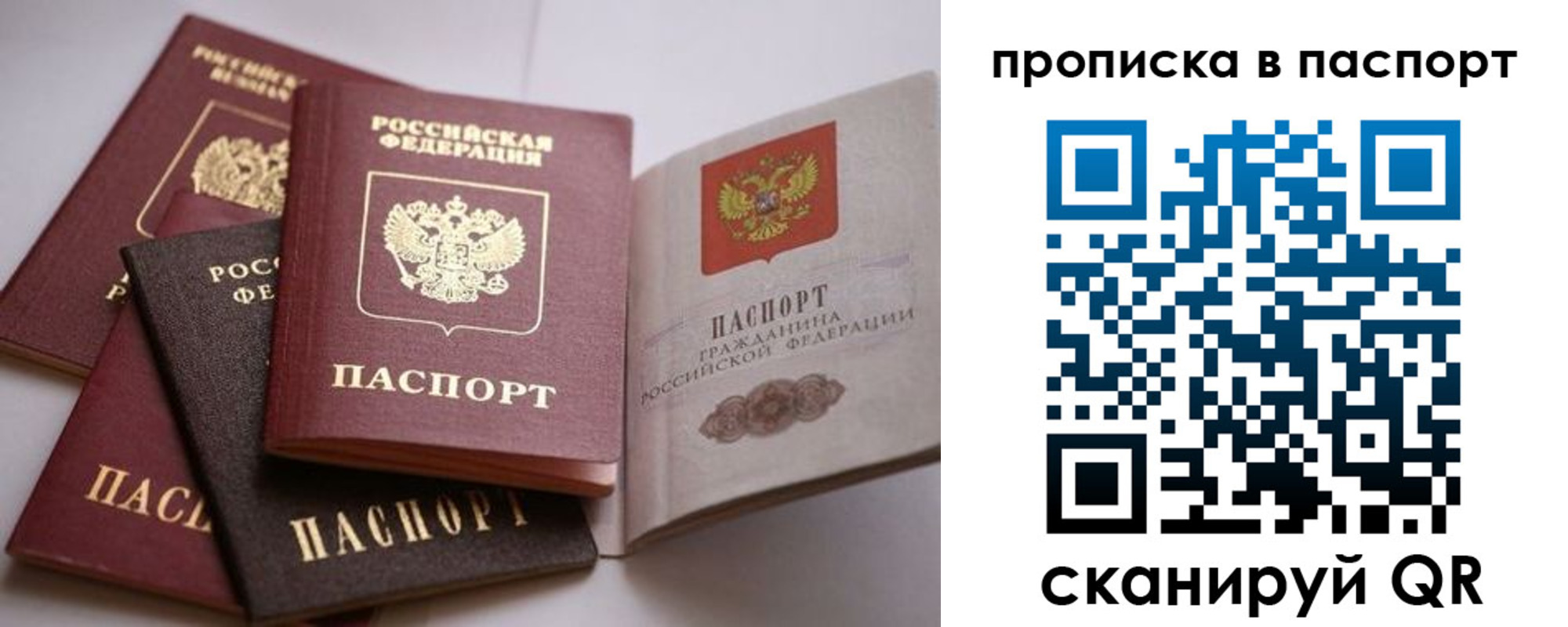временная регистрация собственник в Светлогорске