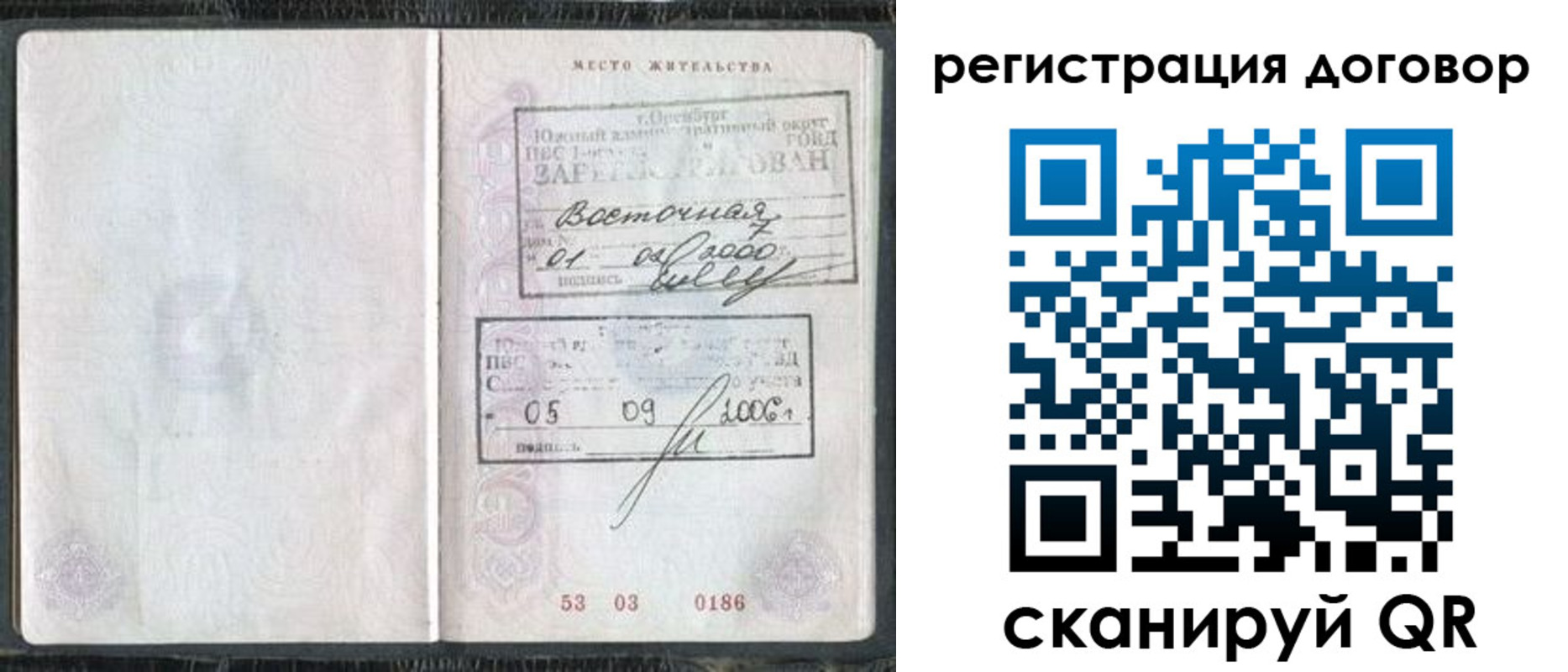 временная регистрация надежно в Светлогорске